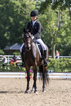 Bild 166 - Pony Akademie Turnier